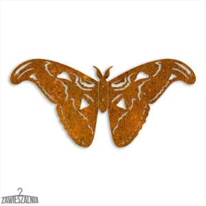 Vægdekoration 3D Sommerfugl Atlas Moth L 50 cm Corten stål