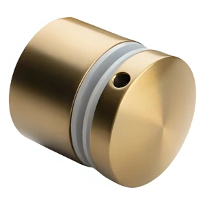 Punktbeslag til glas 8-21,52 mm fi 50/30/M10x40 AISI 304 fladt system guld
